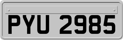 PYU2985