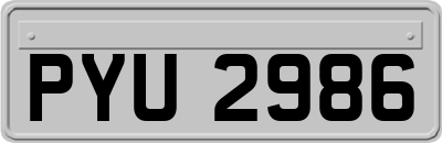 PYU2986