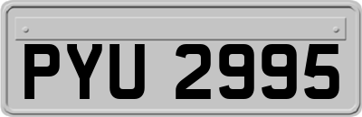 PYU2995