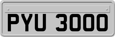 PYU3000