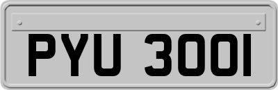 PYU3001