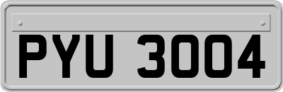 PYU3004