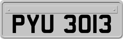 PYU3013