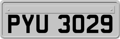 PYU3029