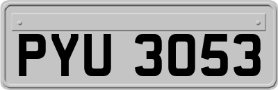 PYU3053