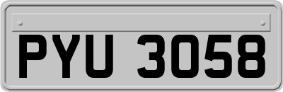 PYU3058