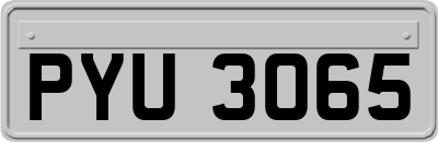 PYU3065