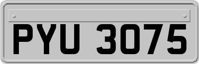 PYU3075