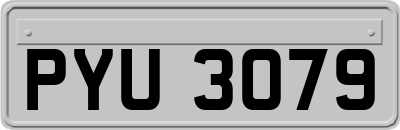 PYU3079