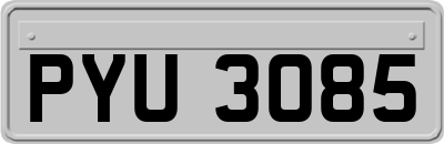 PYU3085