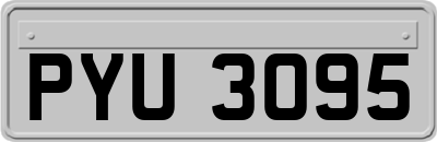 PYU3095