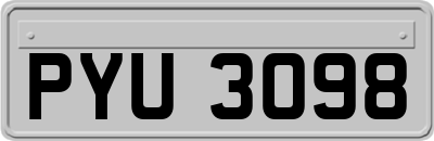 PYU3098