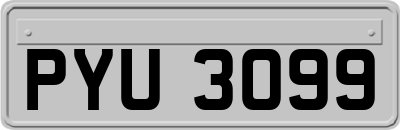 PYU3099