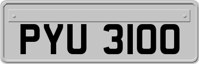 PYU3100