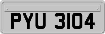 PYU3104