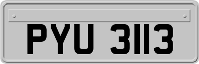 PYU3113