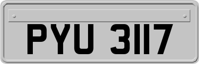 PYU3117