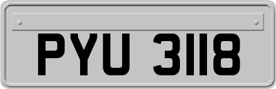 PYU3118