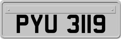 PYU3119