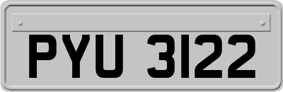 PYU3122