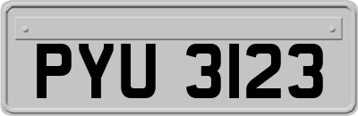 PYU3123