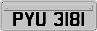 PYU3181