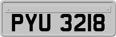 PYU3218