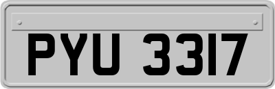 PYU3317
