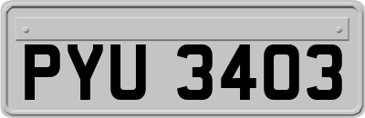 PYU3403