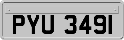 PYU3491