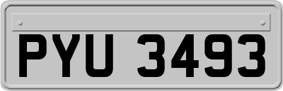 PYU3493