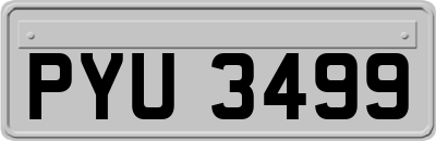 PYU3499