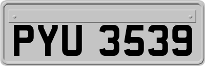 PYU3539