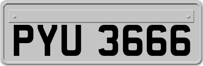 PYU3666