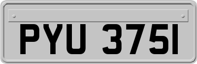 PYU3751