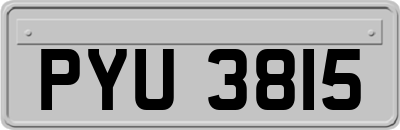 PYU3815