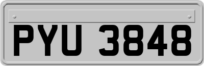 PYU3848
