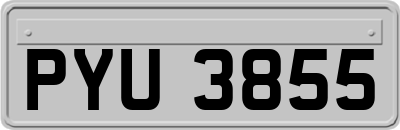 PYU3855