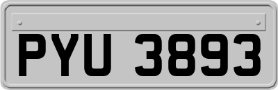 PYU3893