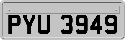 PYU3949