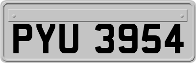 PYU3954