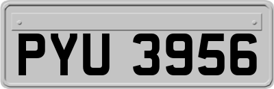 PYU3956