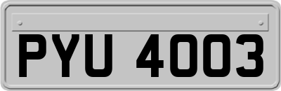 PYU4003