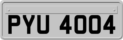 PYU4004
