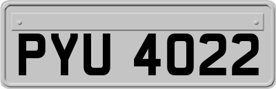 PYU4022