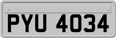 PYU4034