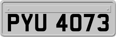 PYU4073