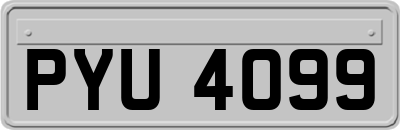 PYU4099