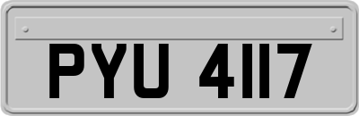 PYU4117