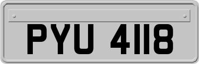 PYU4118